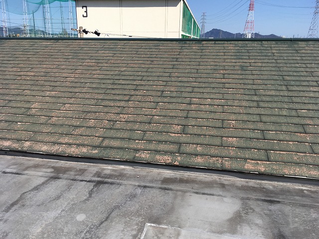 岐南町でアパート共用部からの雨漏りでご相談いただいた事例、カラーベスト部分の屋根カバー工事をご提案